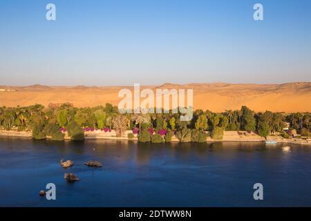 Égypte, haute Égypte, Assouan, île Éléphantine, vue sur le Nil et les jardins botaniques de l'île Kitchener Banque D'Images