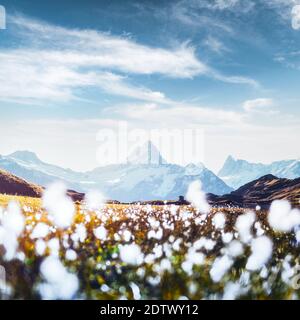 Lever de Soleil sur le pittoresque haut de Grossglockner pass, Swiss Alpes. Photographie de paysage Banque D'Images