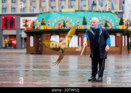 Essen, Allemagne. 22 décembre 2020. Michael laisse ses deux perroquets Chikko et Chikka (macaw) voler sur Kennedyplatz devant un stand de Noël fermé. L'Essener laisse ses deux perroquets voler régulièrement - également dans le centre-ville - à l'extérieur. Credit: Rolf Vennenbernd/dpa/Alay Live News Banque D'Images