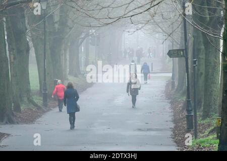 Dorchester, Dorset, Royaume-Uni. 22 décembre 2020. Météo Royaume-Uni. Les amateurs de shopping qui se promèdent le long de l'avenue du Sud bordée d'arbres marchent à Dorchester dans Dorset, au cours d'un après-midi farade et terne. Crédit photo : Graham Hunt/Alamy Live News Banque D'Images