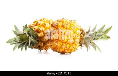 Ananas mûr. Mini ananas isolé sur fond blanc. Banque D'Images