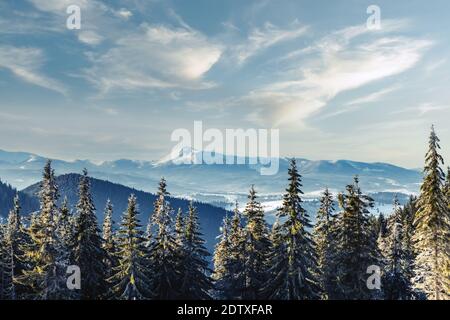 Paysage d'hiver fantastique avec des arbres enneigés. Carpates, l'Ukraine, l'Europe. Concept de vacances de Noël Banque D'Images