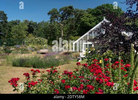 Jardins Abbeywood en été, près de Delamere, Cheshire, Angleterre, Royaume-Uni Banque D'Images