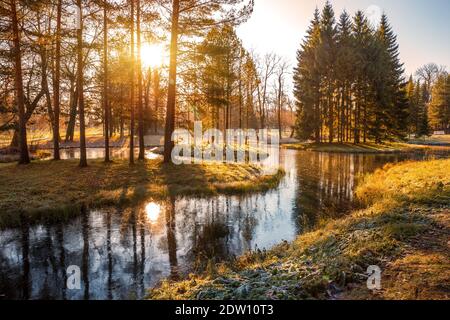 Paysage gelé ensoleillé à la fin de l'automne dans le parc, le soleil brille à travers les branches des arbres Banque D'Images