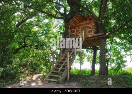 Maison de l'arbre. Maison en bois sont construits sur des arbres dans la forêt ou le jardin. Banque D'Images