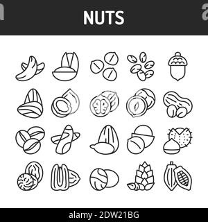 Jeu d'icônes de la ligne noire des noix et des graines. Elément vectoriel isolé. Pictogrammes de contour pour la page Web, l'application mobile, la promotion Illustration de Vecteur