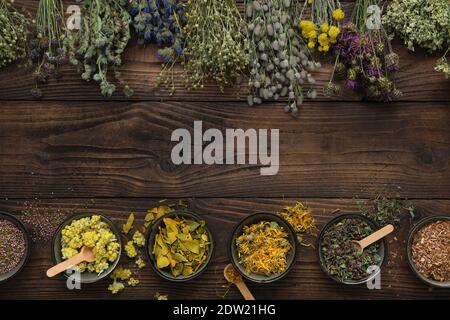 Plantes médicinales Bunches et rangée de bols avec herbes médicinales sèches sur bois brun. Vue de dessus, plan d'appartement. Médecine alternative. Banque D'Images