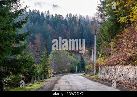 Matin sur une route sinueuse déserte au milieu des hautes montagnes. Brouillard. Les sommets des grands arbres sont cachés par les nuages. Automne coloré dans le Carpathe ukrainien Banque D'Images