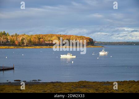 En fin d'après-midi, la lumière du soleil brille sur les arbres pendant la couleur de l'automne, à l'automne sur la baie Union River à Surry, dans le Maine. Avec des bateaux de homard amarrés. Banque D'Images