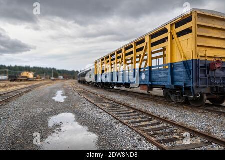 Une voiture de train vide se trouve sur sa voie ferrée à une gare de Newport, Washington. Banque D'Images