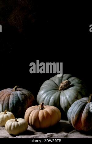 Collection de citrouilles colorées différentes tailles et cultivars sur la nappe de lin. Vie sombre. Récolte d'automne. Banque D'Images