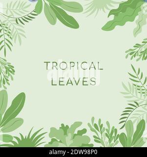 Modèle de bannière plate vectorielle à feuilles tropicales avec espace de texte. Des feuilles vertes de plantes tropicales ou domestiques bordent un fond vert. Feuilles de nature, modèle tropical. Illustration de Vecteur