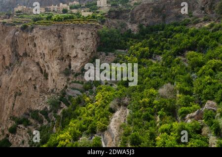 Les montagnes vertes appelé Jebel Akhdar de la chaîne de montagnes de Hajar, Oman.souvent négligé comme une destination de voyage potentielle et pourtant sa riche histoire et la culture vieille de plusieurs siècles qui a tant à offrir. Oman est un paysage incroyablement diversifié de wades tropicales bordées de palmiers, de déserts isolés et de montagnes verdoyantes en terrasse, de Souks prospères et de l'un des peuples les plus accueillants de la région du golfe Arabo-Persique et doit mériter une attention supplémentaire. Banque D'Images