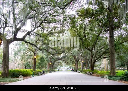 L'avenue abritée par des chênes vivants et de la mousse espagnole dans le site historique de Wormsloe à Savannah, Géorgie, États-Unis. Banque D'Images