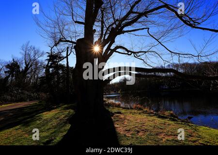 Melville Memorial Park Setauket Long Island New York Banque D'Images