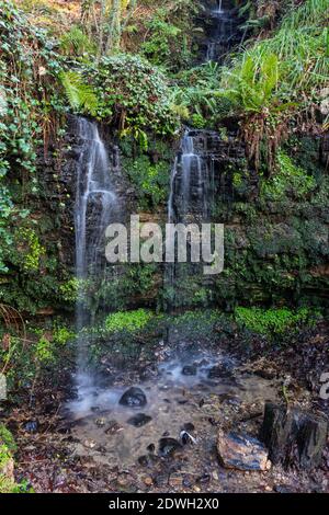 Chute d'eau goutte à goutte dans le parc du comté de Hastings est Sussex sud angleterre de l'est Banque D'Images