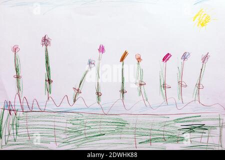 Dessin d'enfant de sept ans, fleurs dans le champ. Banque D'Images