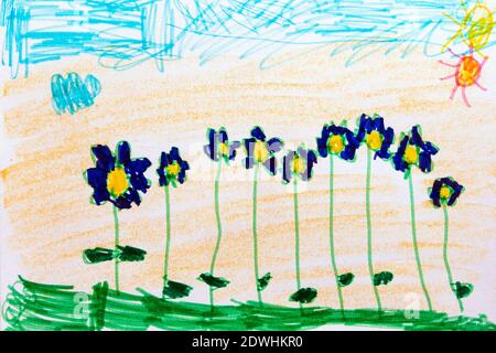 Dessin d'enfant de sept ans, fleurs bleues dans le champ. Banque D'Images