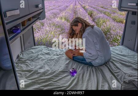 Champ de lavande avec une femme dessinant sur un campeur Banque D'Images