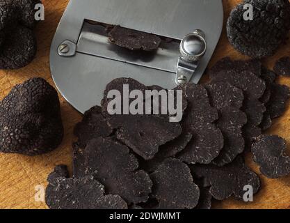 La truffe du Périgord tuber melanosporum, Banque D'Images