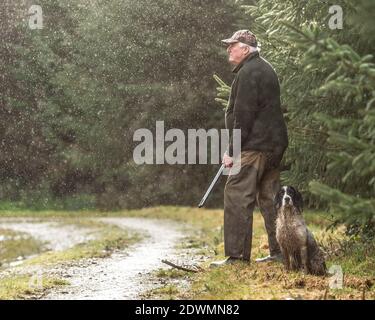 le vieil homme et son chien sur la pousse de faisan Banque D'Images