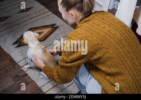 L'amour des animaux de compagnie, l'adoption des chiens sans abri, prendre soin d'un animal de compagnie et d'un concept animal. Les amoureux des animaux, les amoureux des animaux. Femme avec un nouveau chien d'abri dans ses mains Banque D'Images