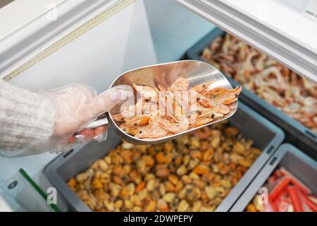 Fruits de mer frais dans un marché aux poissons, main femelle tenant des crevettes congelées Banque D'Images