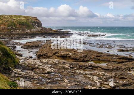 Curio Bay, dans les Catlins, sur l'île du Sud de la Nouvelle-Zélande. Banque D'Images