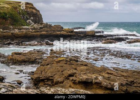 Curio Bay, dans les Catlins, sur l'île du Sud de la Nouvelle-Zélande. Banque D'Images