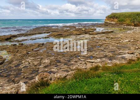 Curio Bay, dans les Catlins, sur l'île du Sud de la Nouvelle-Zélande. Banque D'Images