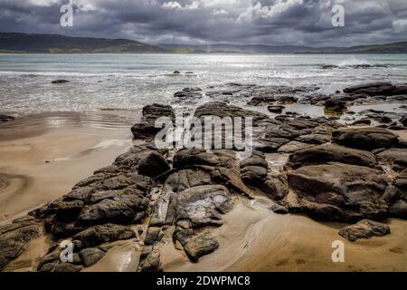 Curio Bay, dans les Catlins, sur l'île du Sud de la Nouvelle-Zélande. Banque D'Images