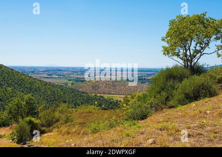 Le paysage près de la région archéologique de Roselle ou de Rusellae près de Grosseto en Toscane, Italie Banque D'Images