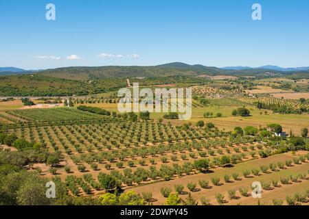 Le paysage près de la région archéologique de Roselle ou de Rusellae près de Grosseto en Toscane, Italie Banque D'Images