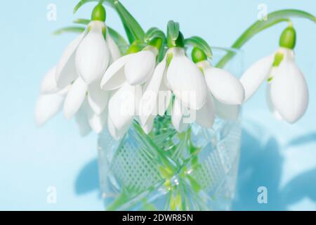 Fleurs sauvages blanches dans la tasse en verre de cristal Banque D'Images