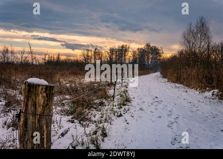 Randonnée d'hiver à travers le Ried Pfrunger jusqu'à la Tour Bannwald Près d'Ostrach dans la haute Souabe Banque D'Images