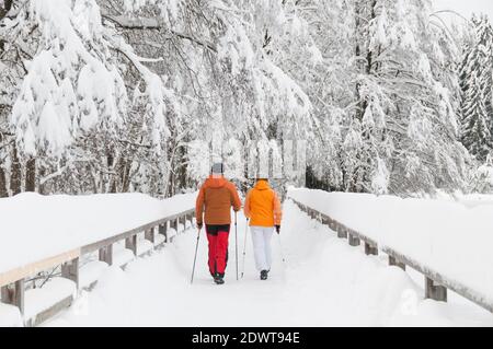 couple aîné sur l'exercice de marche nordique dans la nature vintry Banque D'Images