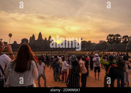 Lever du soleil avec des arbres survolant le temple d'Angkor Wat en silhouette, complexe d'Angkor Wat, Siem Reap, Cambodge, Asie Banque D'Images