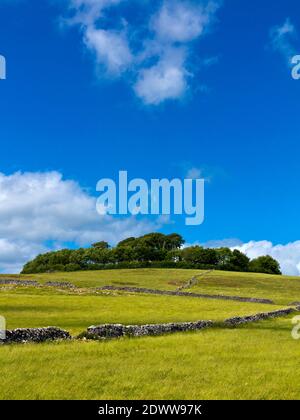 Arbres à Minninglow un lieu de sépulture préhistorique néolithique près de Parwich Dans le parc national de Peak District Derbyshire Dales Angleterre Royaume-Uni Banque D'Images