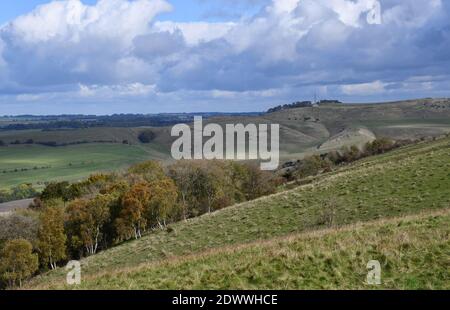 Vue depuis Morgans Hill vers le monument Lansdowne de Cherhill En bas avec Morgans colline réserve naturelle en premier plan, Wiltshire.UK Banque D'Images