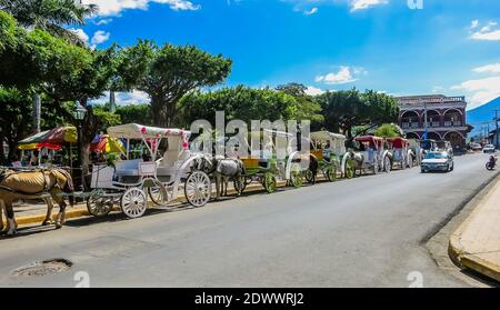 Des calèches tracées à cheval sont alignées à côté du Parque Colon, la place principale de la ville coloniale espagnole de Grenade, au Nicaragua Banque D'Images