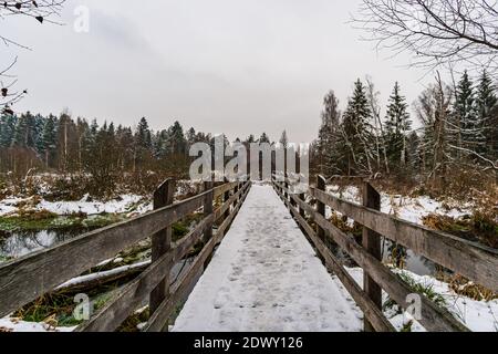 Randonnée d'hiver à travers le Ried Pfrunger jusqu'à la Tour Bannwald Près d'Ostrach dans la haute Souabe Banque D'Images