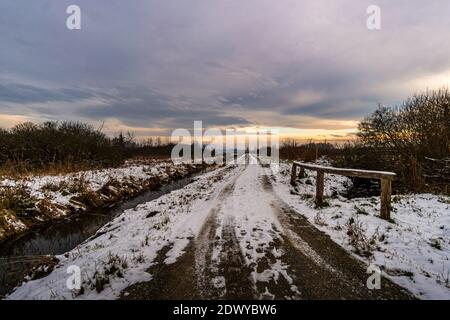 Randonnée d'hiver à travers le Ried Pfrunger jusqu'à la Tour Bannwald Près d'Ostrach dans la haute Souabe Banque D'Images