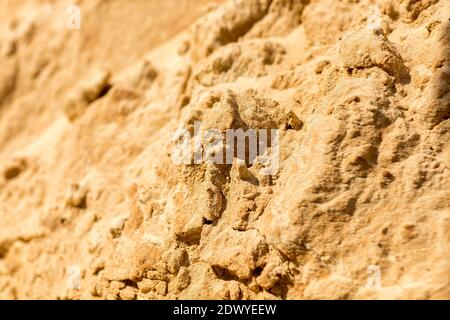 Texture de la construction sable jaune Banque D'Images