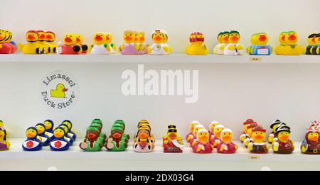 À l'intérieur du magasin de canards de Limassol vendant des centaines de variétés de petits canards de jouets, Limassol, Chypre Banque D'Images