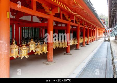 Lanternes dans le sanctuaire de Kasuga-taisha, Nara, Japon Banque D'Images