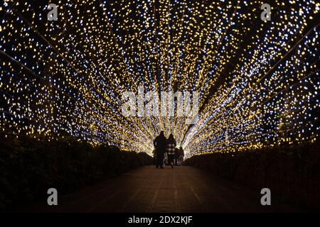 Chibana, Japon. 20 décembre 2020. Invités silhouettés par des lumières de vacances décorant les jardins botaniques du Sud-est 20 décembre 2020 à Chibana, Okinawa, Japon. Credit: Planetpix/Alamy Live News Banque D'Images