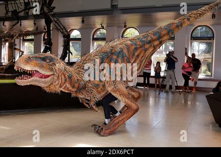 Hunter, le musée d'histoire naturelle du comté de Los Angeles (NHM), un jeune dinosaure, rencontre Baby T of Walking with Dinosaurs - The Arena Spectacular, au musée d'histoire naturelle du comté de Los Angeles, à Los Angeles, CA, États-Unis, le 27 août 2014. Photo de Julian Da Costa/ABACAPRESS.COM Banque D'Images