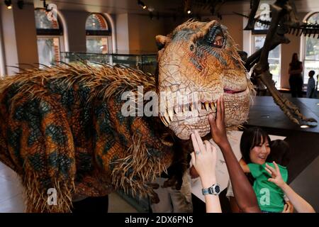 Hunter, le musée d'histoire naturelle du comté de Los Angeles (NHM), un jeune dinosaure, rencontre Baby T of Walking with Dinosaurs - The Arena Spectacular, au musée d'histoire naturelle du comté de Los Angeles, à Los Angeles, CA, États-Unis, le 27 août 2014. Photo de Julian Da Costa/ABACAPRESS.COM Banque D'Images