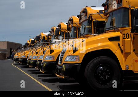 Beaucoup de bus scolaires jaunes dans une rangée dans un parking Beaucoup de Cocalico lycée Banque D'Images