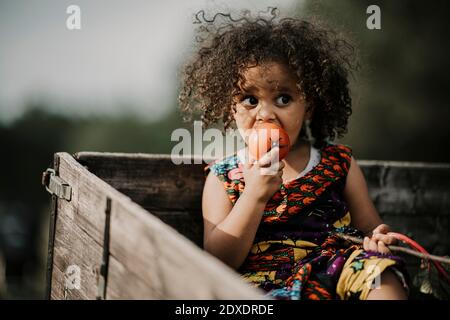 Cheveux bouclés bébé fille mangeant de la tomate tout en étant assis dans un camion Banque D'Images